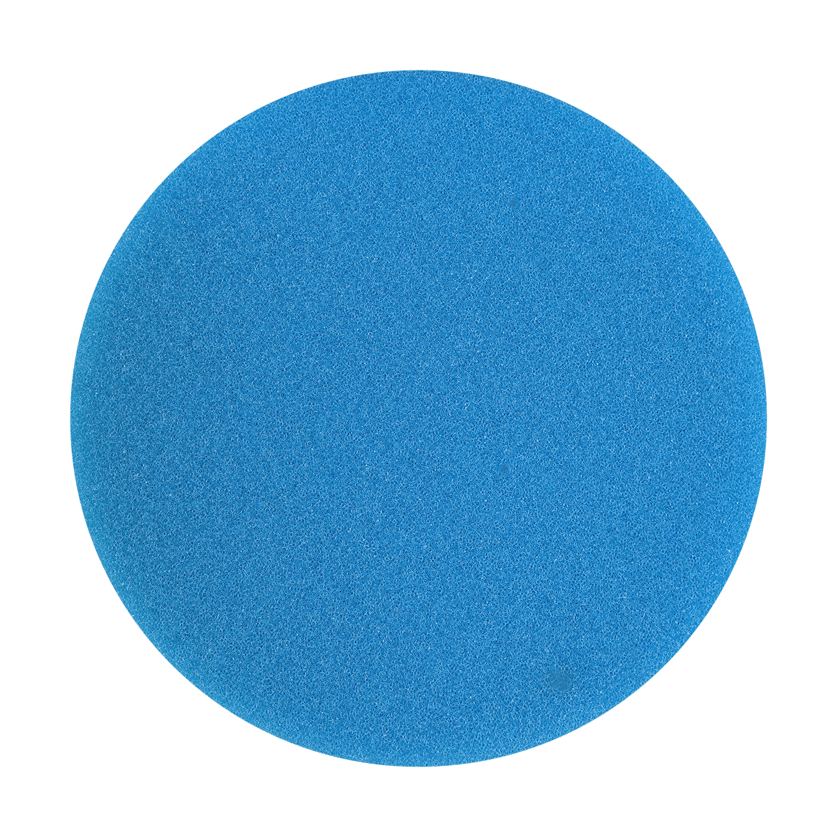 Buff and Shine 450G 4 in Blue Foam Polishing Pad
